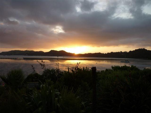 Harbour View Motel Coromandel Exteriér fotografie